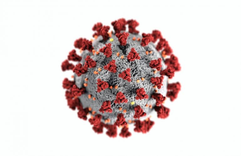 Immunologia TEST IPLE