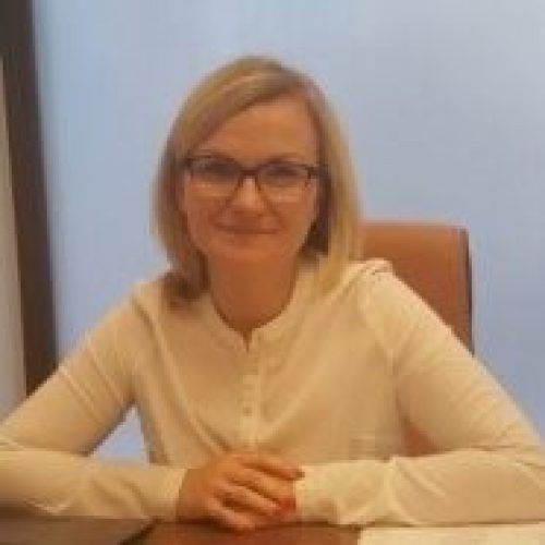 medium_mini_a.bikiewicz1